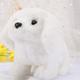 Interactive Plush Puppy Toy–Electric Simulation Animal Plush Pet Dog Little White Rabbit Bouncing And Making Sounds Cute Pet Teddy Dog Husky Wagging Its Tail