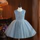 Kids Girls' Party Dress Solid Color Sleeveless Performance Wedding Mesh Princess Sweet Mesh Mid-Calf Sheath Dress Tulle Dress Flower Girl's Dress Summer Spring Fall 2-12 Years Sky Blue