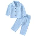 Wallarenear Baby Boy Cotton Linen Long Sleeve Button Down Shirt Tops Elastic Waist Pants