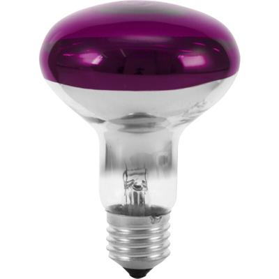 Eurolite 9210440U Halogen E27 Reflektor 60 w Violett (ø x l) 80 mm x 110 mm 1 St. Image