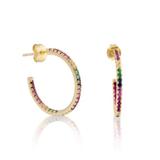 Anthropologie Jewelry | New! Pave Rainbow Gemstone Crystal Cz Gold Hoop Earrings Dainty | Color: Blue/Gold | Size: Os