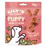 70g Chicken & Salmon Nibbles for Puppies Lily's Kitchen Dog Treats