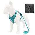 chien chat animaux de compagnie harnais laisse portable durable sécurité en plein air marche lettre polyester petit chien bleu 1 pc