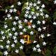 guirlandes lumineuses solaires extérieures 2pcs 1pcs 8 modèles fleur de cerisier 6.5m 30 led guirlande lumineuse solaire pour la maison décoration de jardin 5m 20 leds étanche fête de noël guirlandes