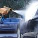 COFEST High Pressure Water Spray Gun Car Wash Hose Nozzle Garden Supplies Watering Sprinkler Cleaning Tools Water Gun ( Only Water Gun) Gold