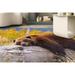 Brown Bear Resting on a Log Rugs Modern Rug Bear Rug Animal Rugs Round Rug Personalized Rug Office Rug Soft Rug Dining Room Rug 2.6 x4 - 80x120 cm