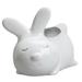 Ceramic Rabbit Planter Pots for Plants Indoor Garden Planters Small Flowerpot White Ceramics