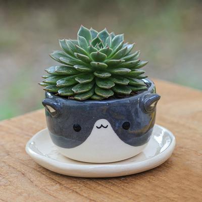 'Cat-Themed Ivory Grey Ceramic Mini Flower Pot with Saucer'