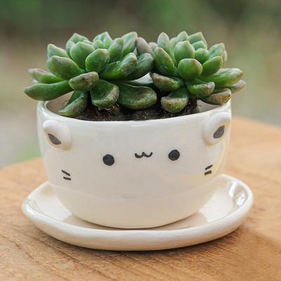 Kitty Grace,'Handcrafted Ivory Ceramic Cat Mini Flower Pot with Saucer'