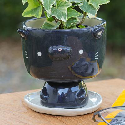 'Cat-Shaped Black Ivory Ceramic Mini Flower Pot with Saucer'