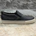 Coach Shoes | Coach Men’s Skate Slip On Sneakers In Signature Canvas With Rexy. New | Color: Black/Green | Size: 10