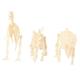 HEMOTON 9 Pcs Pretend Dinosaur Skeleton Toy Figures Models Toys Assorted Dinosaur for Kids Skeleton Model. 4d Puppet Assembled