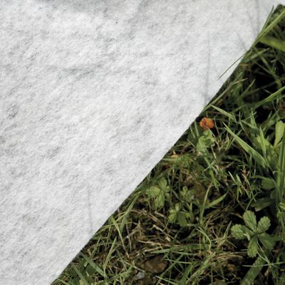Bodenschutzplane GRE "Bodenschutzvlies", weiß, B:400cm L:625cm, Polyester, Planen, aus Polyester Image
