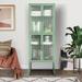 Hokku Designs Nailsworth Curio Cabinet in Gray/Green | 65.55 H x 23.7 W x 13.86 D in | Wayfair F61DC26B221347D8BB3CFDD28CF32A66