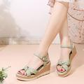 Women's Heels Sandals Dress Shoes Ankle Strap Heels Wedding Daily Wedding Sandals Platform Wedge Heel Pointed Toe Casual Minimalism PU Ankle Strap Light Green Beige