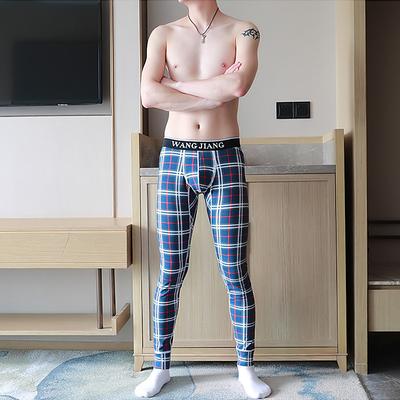 Men's Long Johns Thermal Underwear Thermal Pants Grid / Plaid Graphic Prints Basic Simple Casual Home Daily Cotton Warm Breathable Long Pant Pant Elastic Waist Winter Fall Lake blue Blue