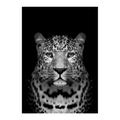 1pc Animal Wall Art Canvas Giraffe Elephant Posters And Prints Modern Wall Art Picture For Living Room No Frame