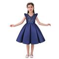 Kids Girls' Party Dress Solid Color Sleeveless Formal Performance Wedding Lace Adorable Daily Beautiful Cotton Midi Party Dress Floral Embroidery Dress Flower Girl's Dress Summer Spring Fall 3-10
