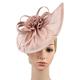 Retro Vintage 1950s 1920s Headpiece Party Costume Fascinator Hat Women's Masquerade Carnival Party / Evening Evening Party Adults' Hat All Seasons