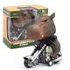 Children's Toys 19 Hand-Painted Inertia Motorcycle Simulation Dinosaur Animal Locomotive Model Toys