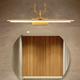 lampada frontale a specchio a led vanity light 40cm 20w applique da parete per camera da letto moderna semplice bagno alluminio acrilico ip20 110-240v