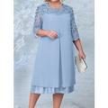 Per donna Plus Size Abito di pizzo Vestito da festa Abito da cocktail Pizzo Con ricami Girocollo Manica a 3/4 Vestito longuette Compleanno Da mare Rosa Blu scuro Primavera Inverno