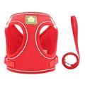 collare per cani alla moda e guinzaglio collare per cuccioli bling carino collare per cani diamante con guinzagli - blu - xs