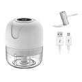 100/250 ml elettrico mini usb aglio schiacciapatate wireless aglio smerigliatrice tritacarne verdure peperoncino tritacarne cibo chopper utensili da cucina