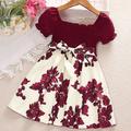 kinderkleidung Mädchen Kleid Blumen Blume Kurzarm Outdoor Casual Puffärmel Modisch Täglich Baumwolle Übers Knie Casual kleid A Linie Kleid Blumenkleid Sommer Frühling 1-6 Jahre Rote Braun Grün