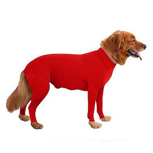 Hund Katze Mäntel Mode Niedlich Winter Atmungsaktiv Weich Waschbar Bequem Outdoor Alltagstauglich Hundebekleidung for Bichon Frise Zwergspitz Baby Haustier Papillon Image