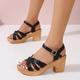 Damen Sandalen Blockabsatz Sandalen Sandalen mit Knöchelriemen Outdoor B¨¹ro Täglich Feste Farbe Sommer Blockabsatz Elegant Vintage Modisch PU Schnalle Schwarz Weiß Kamel