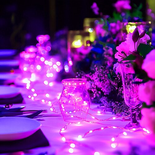 elegante Hochzeitsempfangsparty, 5 m, 50 LED-Lichterkette aus Silberdraht, batteriebetriebene Lichterkette für Zuhause, Weihnachten, Hochzeitamp;Partydekoration Image