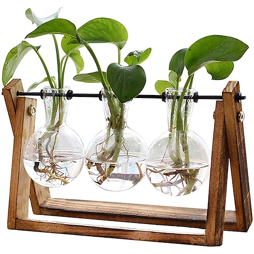 kreative holzrahmen glasvase tischplatte terrarium hydroponik pflanzenvasen bonsai 3 transparenter blumentopf mit holztablett wohnkultur Image
