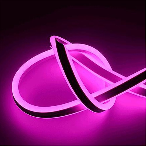 1m 2m 3M Neonstreifenlichter 150-300-450-750-1500-3000-3750-4500 LEDs Flexibel Neon Warmweiß Weiß Rot LED Neonlichte Kreativ Party Draussen 220-240 V Image