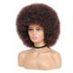 Afro-Perücke – 70er-Jahre-blonde Afro-Perücke für Frauen, weiche Afro-Perücken mit verworrenem lockigem Haar und Pony, natürlich aussehende 70er-Jahre-Disco, große Afro-Lockenperücke für Männer,