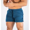 Herren kurze Sporthose Laufshorts kurze hosen Laufshorts Leichtathletik Kurze Hosen Kordelzug Gespleisst Kurze Hose Sportlich Sommer Atmungsaktiv Schnelltrocknend Weich Fitness Fitnesstraining Laufen