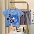 Neues Set mit kurzärmeligen Shorts für Kinder für Jungen und Mädchen, Baby-T-Shirts für Jungen und Mädchen, komplett aus Baumwolle