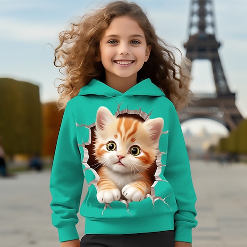 Mädchen 3D Karikatur Katze Kapuzenshirt Pullover Rosa Langarm 3D-Druck Frühling Herbst Aktiv Modisch Kuschelig kinderkleidung 3-12 Jahre Mit Kapuze Outdoor Casual Täglich Regular Fit Image