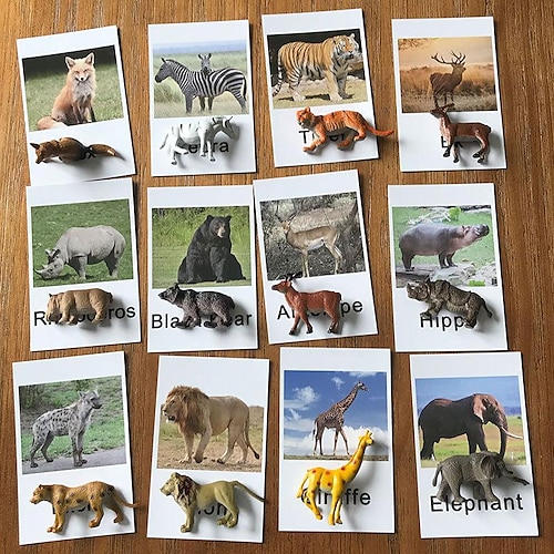 Montessori-Lehrmittel Tiermodell-Karte passende Alphabetisierungskarte Alphabetisierungskarte Englisch Sprachlehrmittel Spielzeug für die frühkindliche Bildung Zurück zur Schule Geschenk für Image