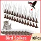 10pcs Pigeon Spikes Bird Repeller Deterrent Stainless Steel Anti for Fence Roof Birds Squirrel Cats