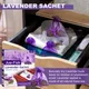 Box Aromatherapy Bag Anti-pest Air Lavender Wardrobe Closet Car Hanging Fragrant Sachet Air