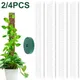 Moss Poles Plants Monstera Semi-cylindrical Sphagnum Moss Poles Hollow Self Watering Plant Support