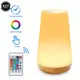Lampada dimmerabile Touch 13 luce notturna che cambia colore telecomando RGB lampade da comodino da tavolo per bambini portatili lampada da notte con ricarica USB