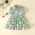 Dress For Kids Newborn 3 - 24 Months Birthday Style Butterfly Sleeve Cute Floral Princess Formal