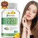 Olive Leaf Extract Supplement (Non-GMO) - Immune Support 120 Vegetarian Capsules