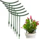 Plant Support Frame Plastic Greenhouse Arrangement Flower Plant Vine Climbing Bracket Planting Rack