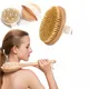 2 In 1 Dry Skin Body Massage Brush Natural Bristle Dead Skin Remover Anti Cellulite Exfoliates Blood