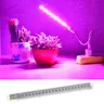 5V LED Grow Light USB Full Spectrum Red & Blue Phyto Grow Lamp 21 leds Indoor Phytolamp For Plants