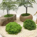 Artificial Green Plants Eternal Life Moss DIY Crafts Grass Garden Home Room Decor Mini Landscape