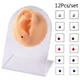 12PCS/Card Fake Cheater Non Pierced Magnet Ear Tragus Cartilage Lip Labret Stud Nose Ring Jewelry